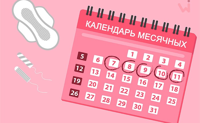 календарь менструального цикла