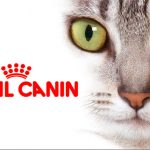 royal canin