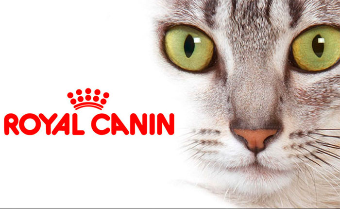 royal canin